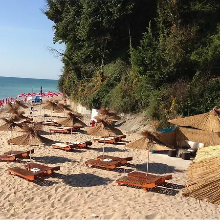 Moskoiani Byala (Varna)